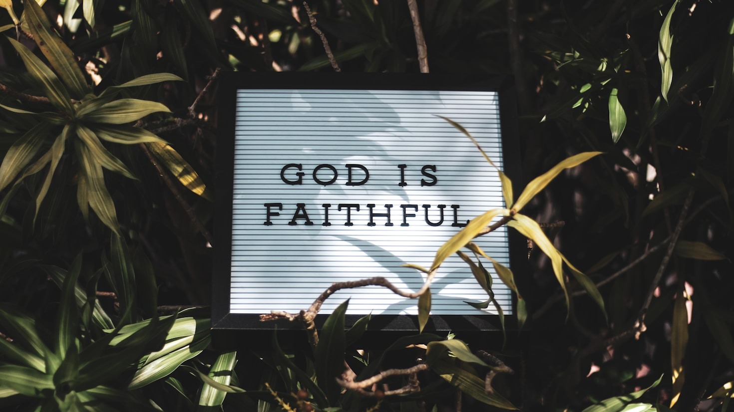 Red Flags to Watch for in Christian Dating